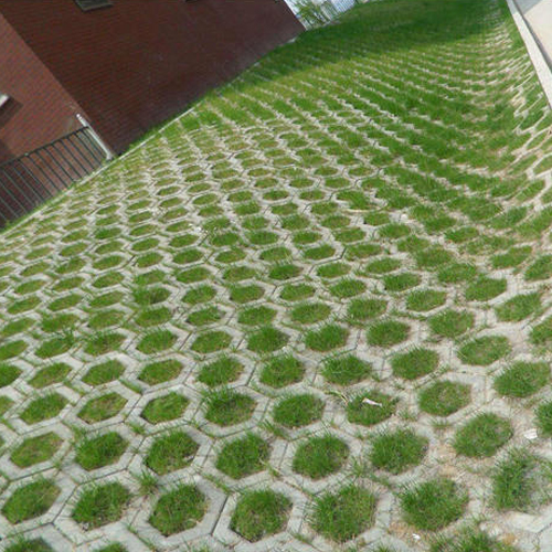 观音桥专业生态草坪砖施工